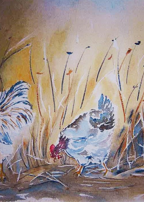 Le coq et ses deux poules - aquarelle © A. Aymard