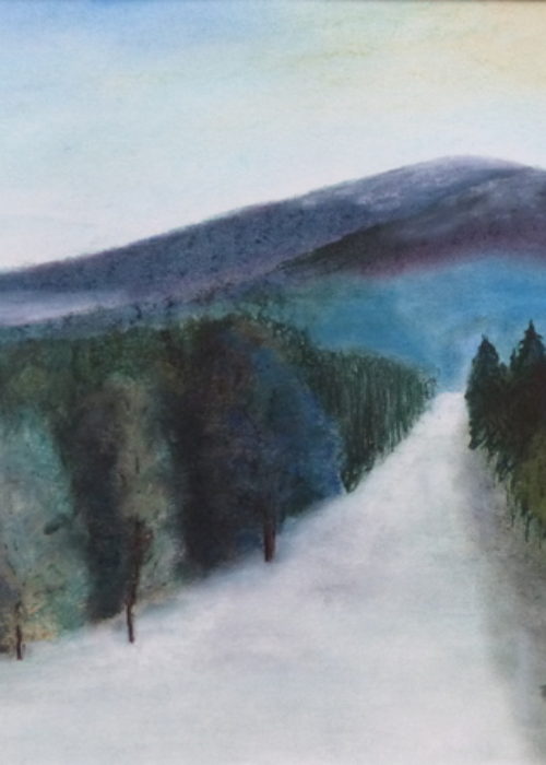 2019-35-Paysage hivernal-Pastel-65x50 © Pascal Mermet