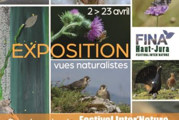 Exposition Festival Inter’Nature du Haut-Jura <br/>Du 2 au 23/04