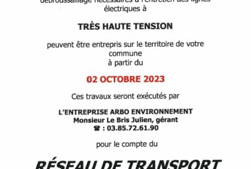 TRAVAUX D’ÉLAGAGE, D’ABATTAGE ET DE DÉBROUISSAILLAGE À PROXIMITÉ DES LIGNES ÉLECTRIQUES