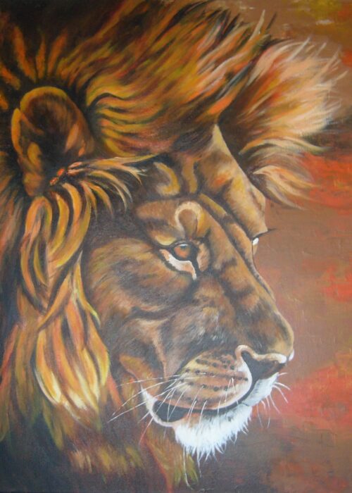 C. Morell - Le lion