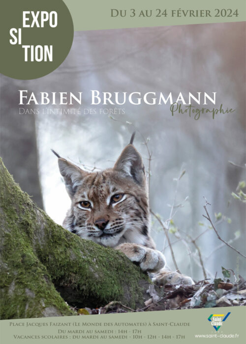 Expo Fabien Bruggmann - Affiche