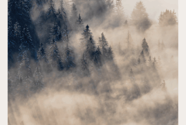 Avant-scène du FINA 2026