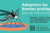 Moustique tigre : protégez votre quartier en supprimant les eaux stagnantes