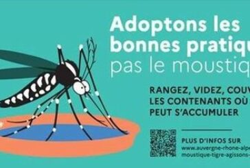 Moustique tigre : protégez votre quartier en supprimant les eaux stagnantes