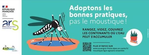 moustique-tigre-1657700633_medium