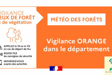 Vigilance incendie : restrictions d’accès aux espaces forestiers