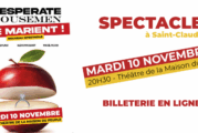 [SPECTACLE] – Les Desperate Housmen se marient